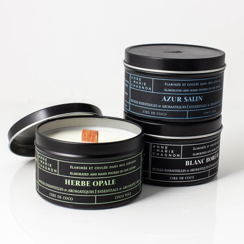 Trio Bougies Azur Salin, Blanc Boréal et Herbe Opale