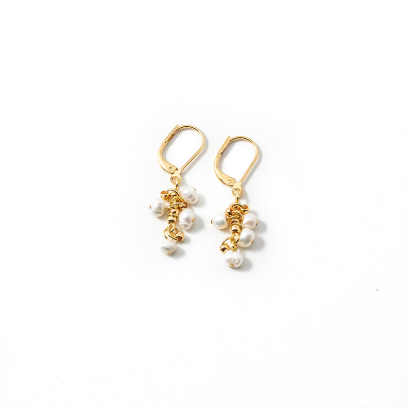 Damky Gold Earrings