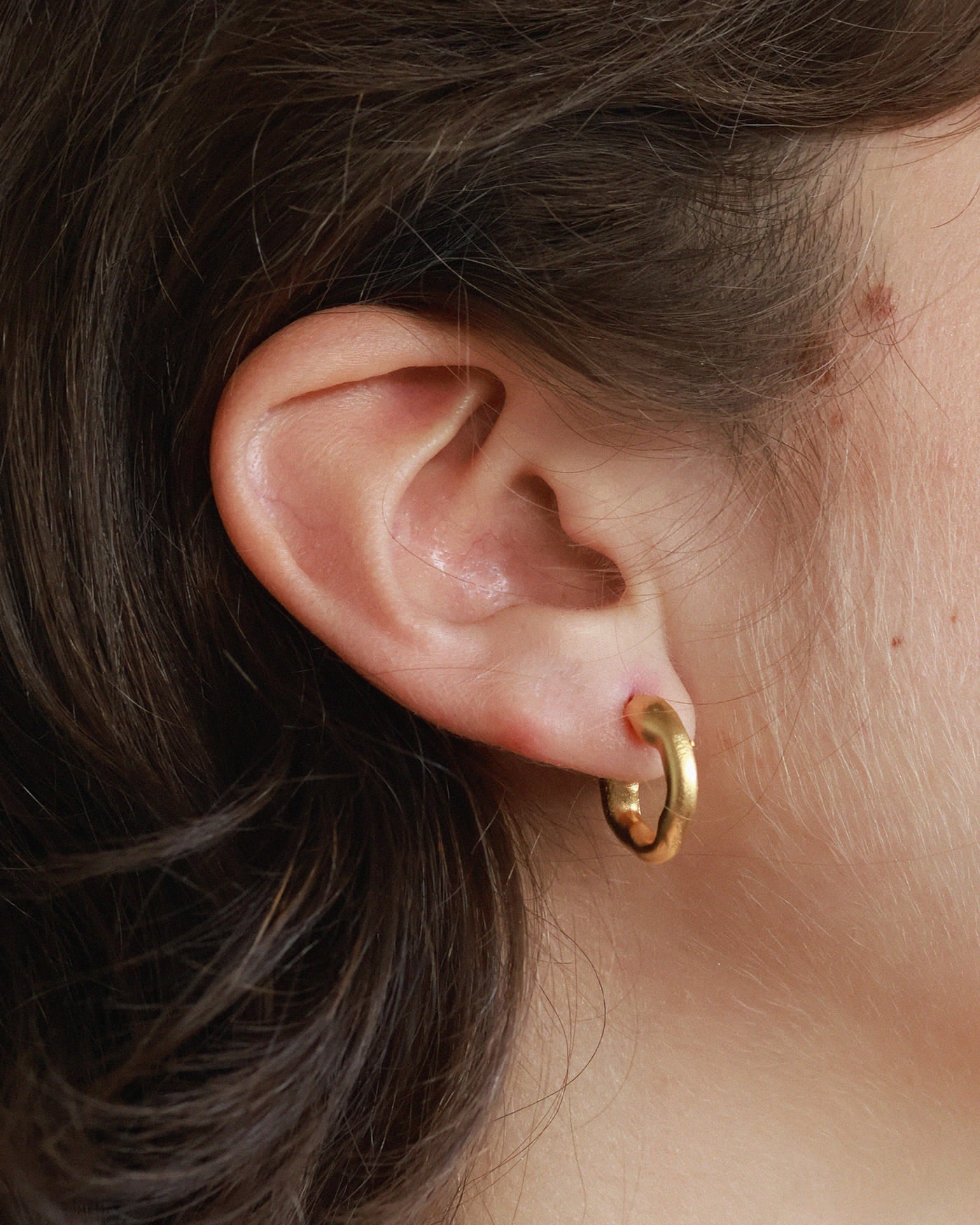 Fornax gold earrings