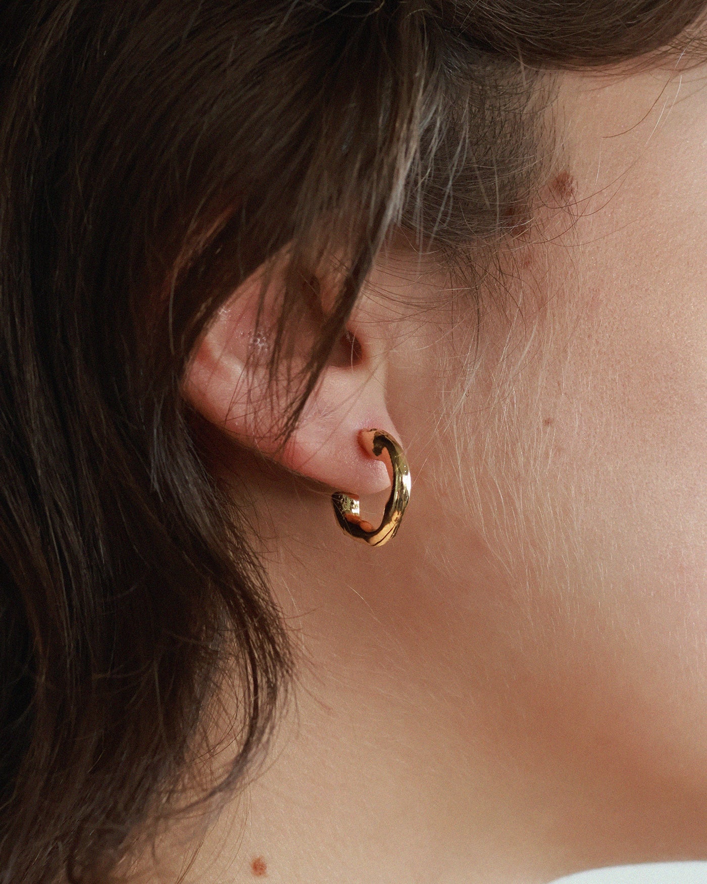 Fornax gold earrings